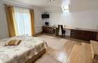 Hantesti, Suceava -Proprietate imobiliara in zona deosebit de frumoasa - 7