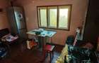Vand ansamblu locuin?a vacanta - permanenta in zona retrasa- iidilica - 8