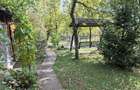 Priveliste de vis, 5 camere, anexe, 7000 mp, de mutat, comision 0%! - 8
