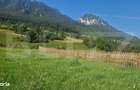Teren Plaiul Foii, vedere spre muntii Bucegi si apa Barsa 1004 mp Intr - 2