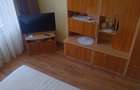 Apartament cu 2 camere decomandat, mobilat în 1 Decembrie 1918 - 7