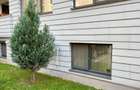 Apartament 3 camere, decomandat, Plaza Residence, centrala, pretabil spatiu ! - 33