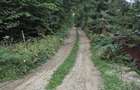 Vand teren intravilan 5.000 mp Sat Brate?, Com. Tarcau, Jud. Neam? - 7