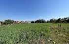 Teren intravilan 2.162 mp cu dubla deschidere | Miercurea Sibiului - 3