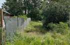Snagov-Ghermanesti-Teren 2000 mp la sosea - 55 euro/mp - 4