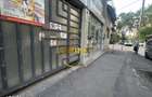 Sp comercial | Teiul Doamnei | 51mp | Disponibil Imediat - 4