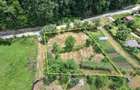 Teren parcelabil 507 mp Uiasca, Bascov - 6