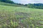 Teren intravilan de vanzare 852 mp, Medias, zona in plina dezvoltare - 5