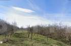 Teren extravilan, 1000 mp - zona Wonderland - 1