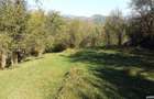 Teren intravilan Cerasu Valea Borului Teren 2.280 mp, Deschidere 30m, Utilita?i pe proprietate - 1