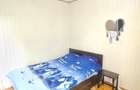 Apartament 3 camere Rahova 2 bai decomandat bloc reabilitat - 12