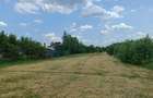 6 parcele intravilane de 485 mp in Mihai Voda, Bolintin Deal, 650 metri de Primaria Bolintin-Deal - 4