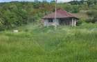 Casa la rosu cu teren 4.234 mp, cadru natural deosebit Deag, Iernut - 10