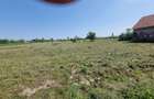 Teren 4316 mp + constructie in Tipari | Front  stradal mare 45 m  10km de  Lugoj - 4