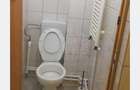 Inchiriere Hala Industriala 450 mp, Bucov - 4,5 euro/mp - 9