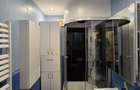 Apartament 3 camere Dristor (Camil Ressu) - 8