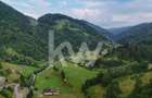 Teren de vanzare RUCAR - ARGES