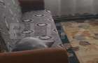 Apartament 3 camere, 56 mp, zona Blocuri, Campia Turzii - 2
