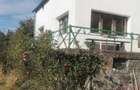 Vind casa in Baia Mare