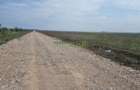 Teren Construcții intravilan de 5000 mp, în Tânganu - 3