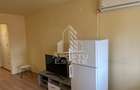 Apartament 1 camera, Zona Take Ionescu - 4