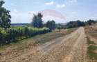Loc de casa si teren cultivat cu vita de vie 1,28 Ha Sant... - 11