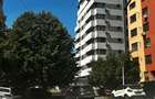 Apartament cu 3 camere decomandat în Calea Severinului - 11