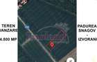 Teren intravilan - 4500 mp - Izvorani - Padurea Snagov - 6