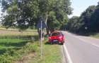 teren la DN22,soseaua Tulcea-Constanta ,negociabil - 2