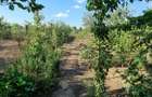Casa de vanzare - Caracal - jud. Olt - 3