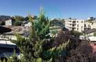 Proprietate specială, de 253 mp, în Calea Călărașilor - 21