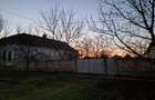 Casă cu Teren 2156 Mp în Dudeștii Vechi - 3