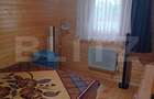 Cabana + teren generos, 60 mp utili, 30 km de Deva - Boz - 13