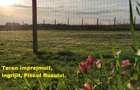 Teren intravilan de 200 mp, în Băneasa - 6