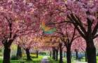 Vanzare duplex 4 camere Parcul Tineretului vedere superba 183 mp - 3