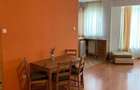 Inchiriez apartament de 2 camere, luminos si spatios in Buna ziua - 8