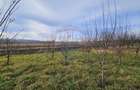 Teren extravilan 10,791mp Falticeni / Strada DJ209A, Opriseni - 3