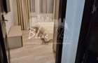 Apartament modern de 2 camere, complet mobilat si utilat Bdul Ferd - 7