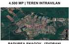Teren intravilan - 4500 mp - Izvorani - Padurea Snagov - 5
