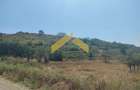 Teren intravilan pe deal Paulis, Arad - 5