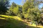 Apartament cu 2 camere semidecomandat în Central - 22