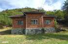 Teren, padure si casa in Dumbrava de Jos, jud. Hunedoara - 1