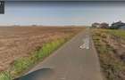 Teren Vama Veche 1,9ha (19.000m2) de la proprietar, strada asfaltata - 4