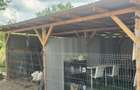 Vand casa in Alparea - 3