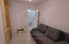 Apartament cu 3 camere decomandat, mobilat în Mănăștur - 8