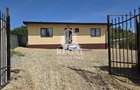 Casă cu 3 camere cu Teren 550 Mp în Teliucu Inferior - 12
