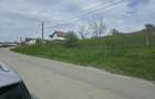 Teren de vanzare Bogonos Iasi - 4