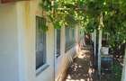Casă cu Teren 1800 Mp în Bivolari - 4