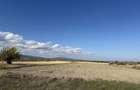 Teren extravilan Campineanca ( la iesire spre Carligele)3000 mp - 4