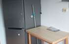 Chirie Mircea cel Batran 3 camere - 4
